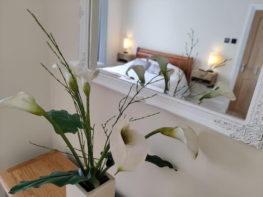 خليج هيرن Escape To The Coast In A Luxurious Private Apartment المظهر الخارجي الصورة